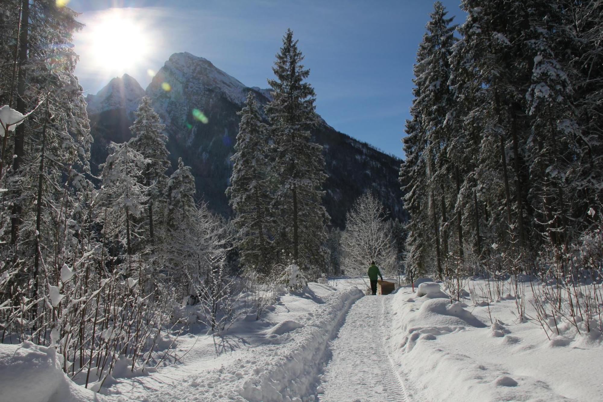 Ferienwohnungen Weiherbach - Hallenbad Berchtesgaden Esterno foto