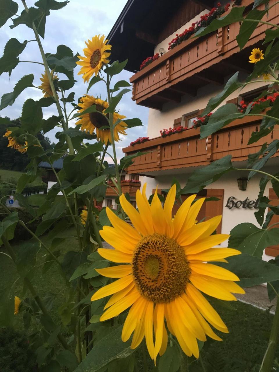 Ferienwohnungen Weiherbach - Hallenbad Berchtesgaden Esterno foto