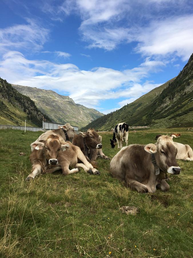 Ferienwohnungen Weiherbach - Hallenbad Berchtesgaden Esterno foto